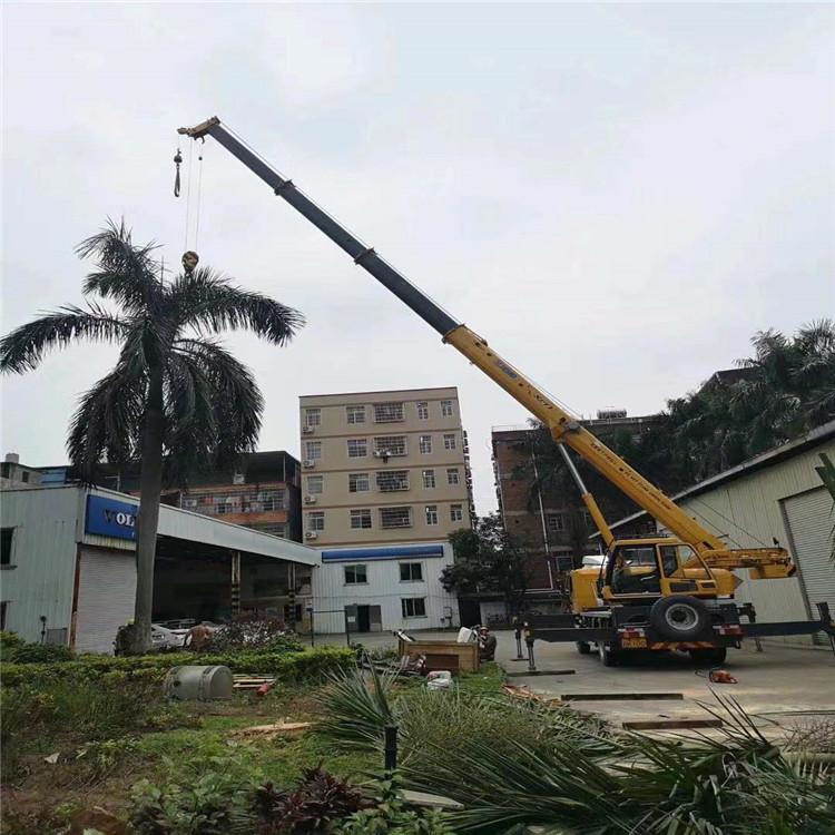 惠城汽车吊出租多少钱？全面解析与市场行情